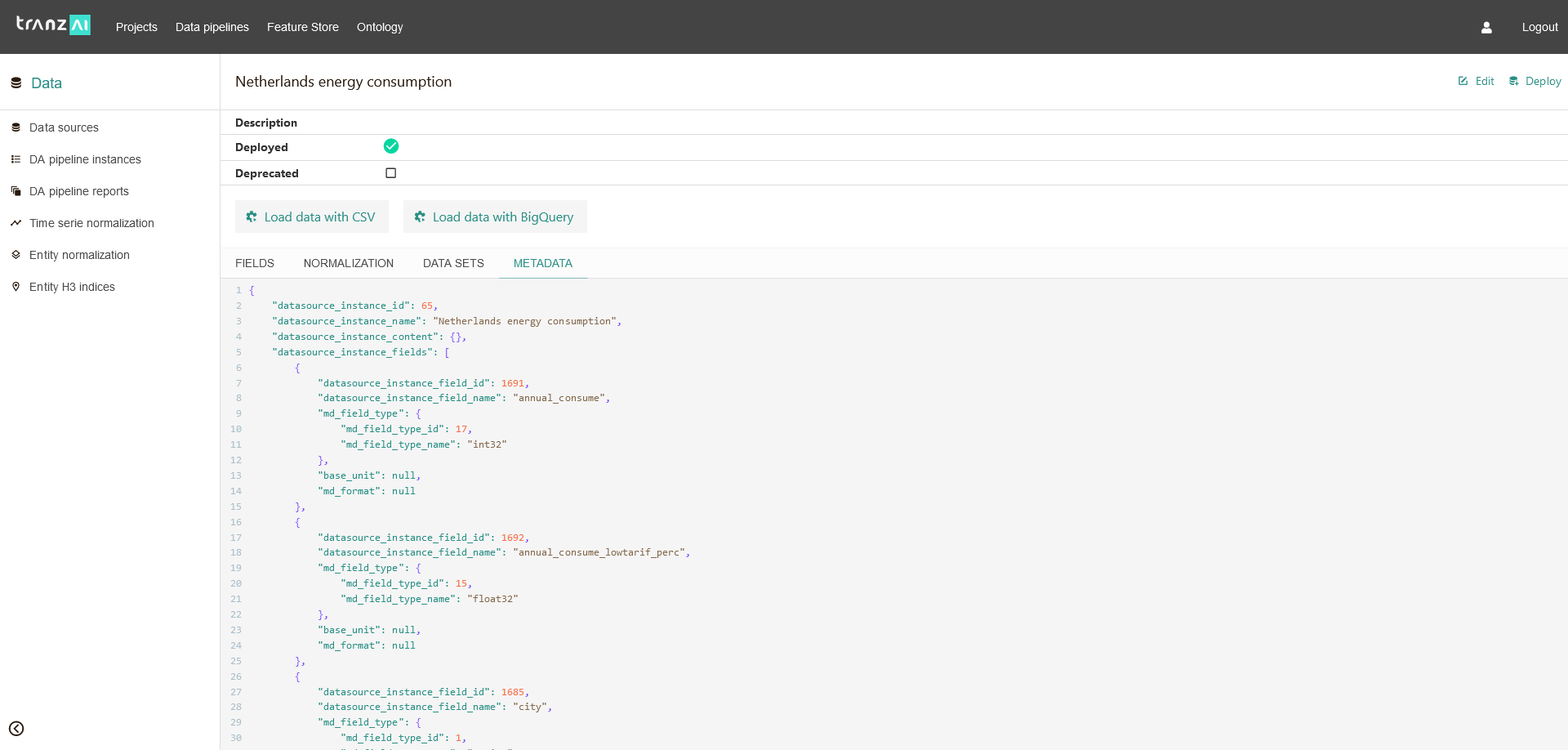 data source instance metadata